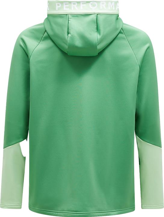Actual product image Peak Performance Rider Zip Hood (S)
