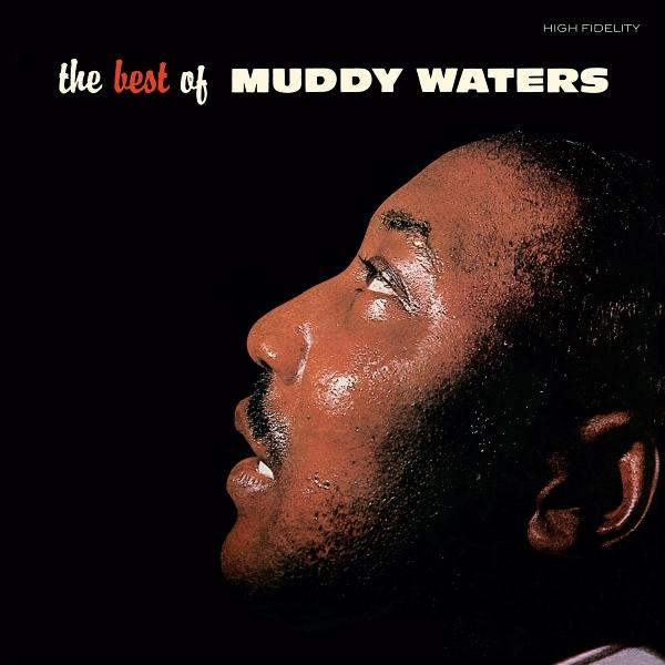 The Best Of Muddy Waters, Vinili