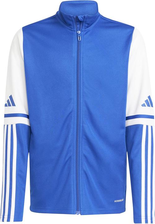 roybluwhite