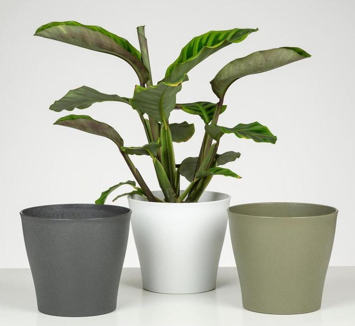 Produktbild Scheurich Blumentopf 19 cm, Weiss (19 x 16.80 cm)