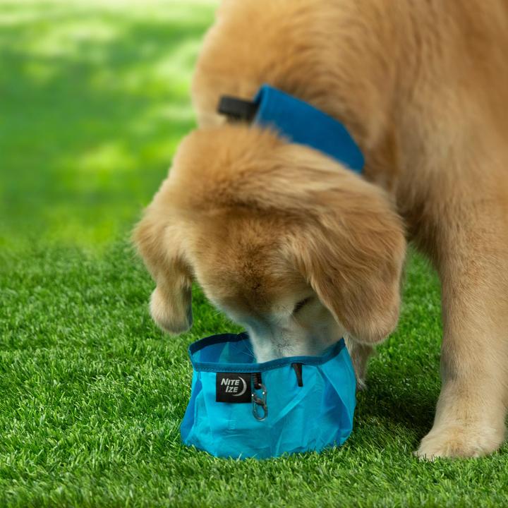 Image du produit Nite Ize Bol pliable RadDog