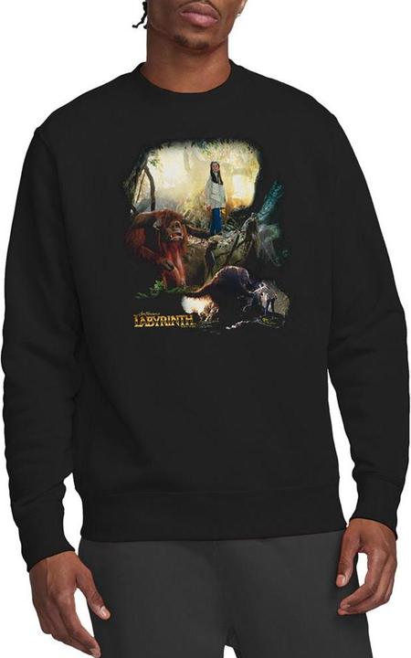 Produktbild Sweatshirt (XXL)