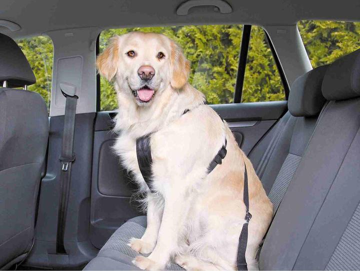Image du produit Trixie Harnais de voiture (M, Chien, Général)