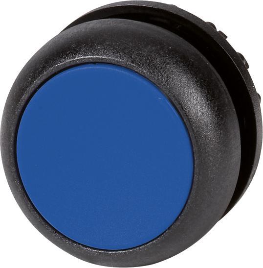 Black, Black, Blue, Blue