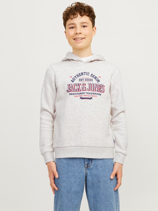 Immagine prodotto Jack & Jones JJELOGO SWEAT HOOD 2 COL 24/25 NOOS JNR (128)