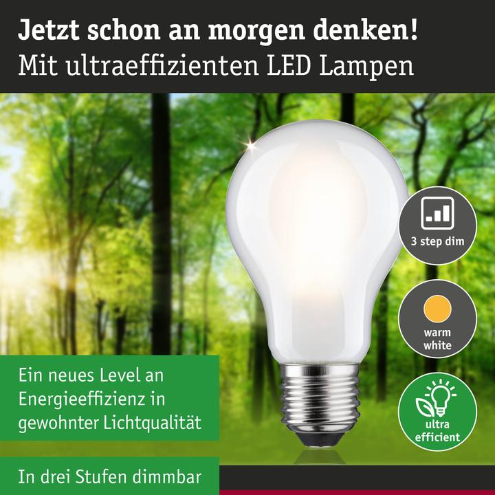 Produktbild Paulmann AGL Eco-Line (E27, 5.70 W, 1055 lm, 1 x, B)