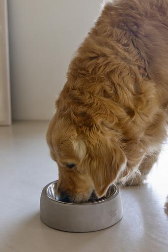 Image du produit Designed by Lotte Riboco (70 cl)