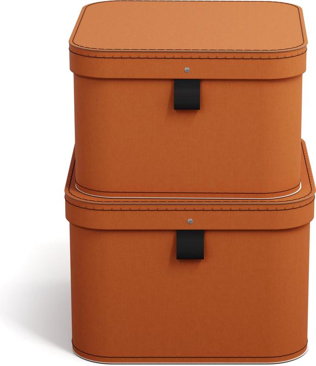 Actual product image Bigso Ludvig storage box