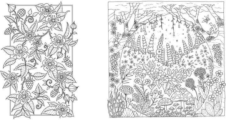 Produktbild Wundervolle Wildblumen