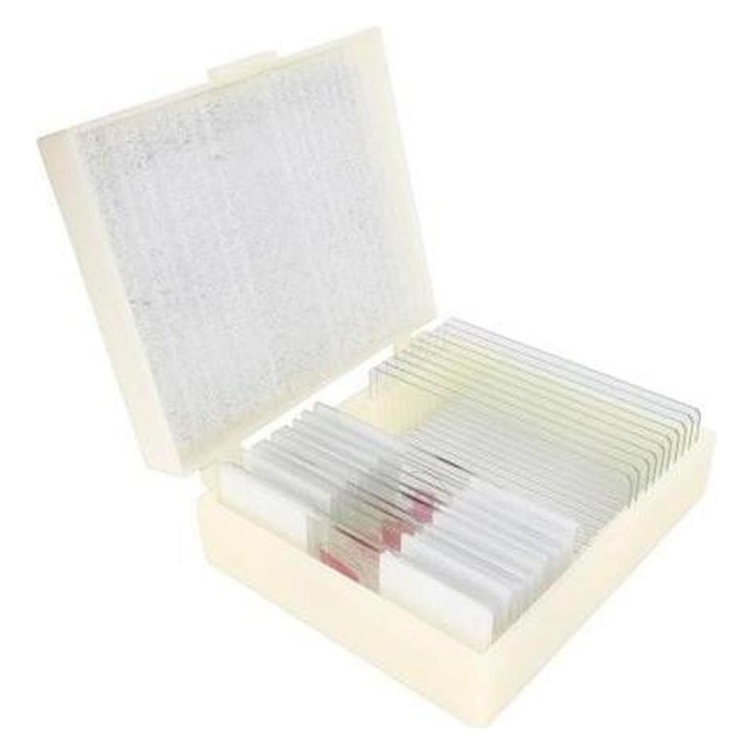 Konus Preparate Set Zoology 1 (10 Stk.) (Zoology - Protozoa (10 slides))