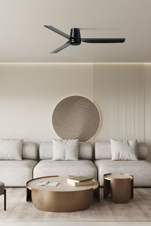 Actual product image Faro DC Deckenventilator Punt Tub SW-SW