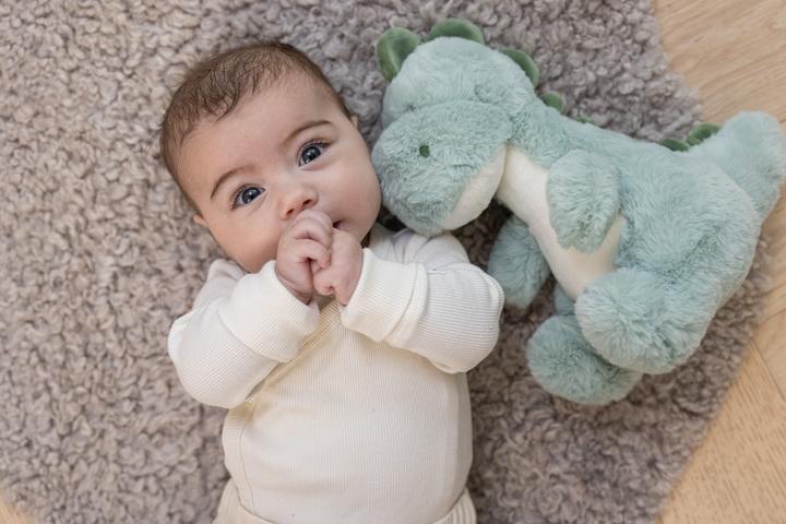 Image du produit Teddykompaniet Dino Petri (25 cm)