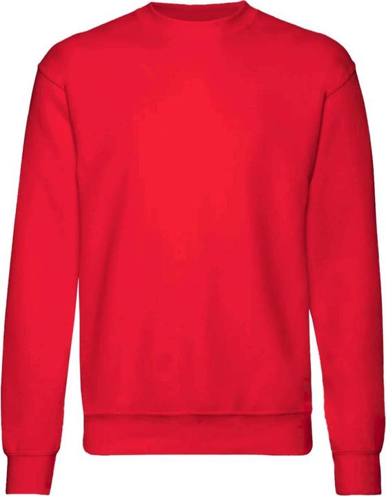 Produktbild Fruit of the Loom Pullover Premium 7030 (2 StückPackung) (146)