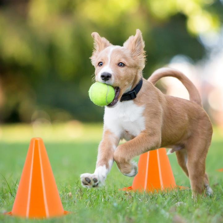 Actual product image Relaxdays Pylonen