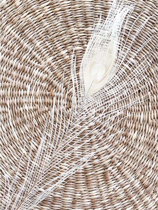 Immagine prodotto Soli Collection Fiori secchi Piume di pavone 90 cm, Bianco (Fiori secchi)