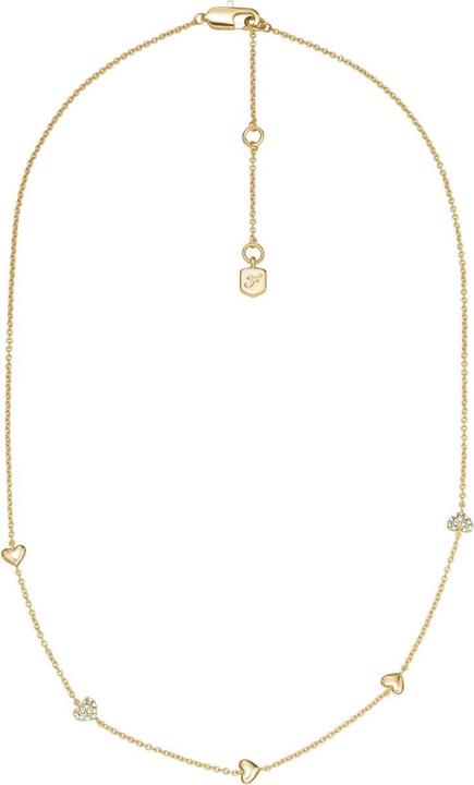 Image du produit Fossil JA7298710 Collier (Acier inoxydable, 45 cm)