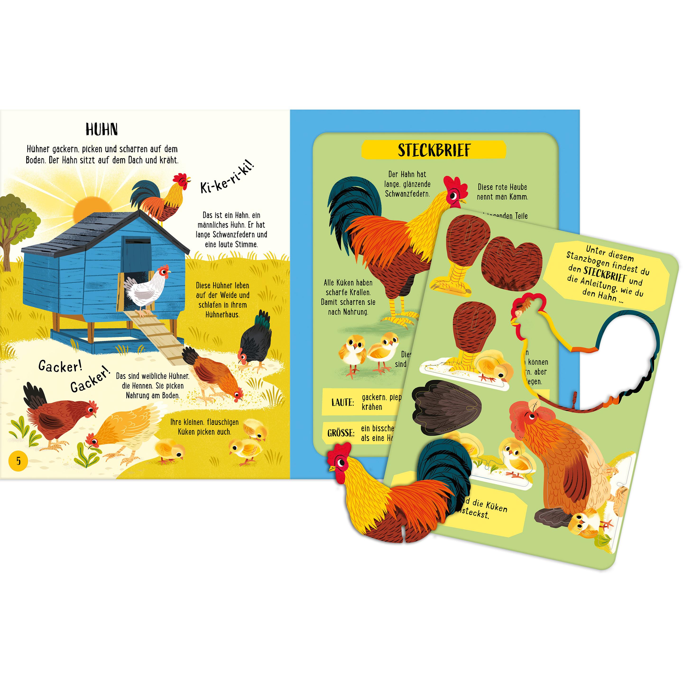 Usborne Publishing, Libro bebè, Zusammenstecken und Entdecken: Bauernhoftiere (Tedesco)