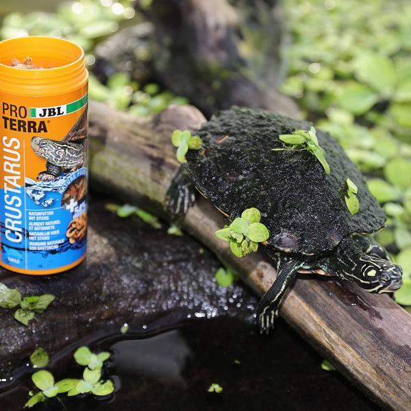 Actual product image JBL Aquaristik und Terraristik Proterra Crustarus, 2.5l (1 x, 0.60 kg)
