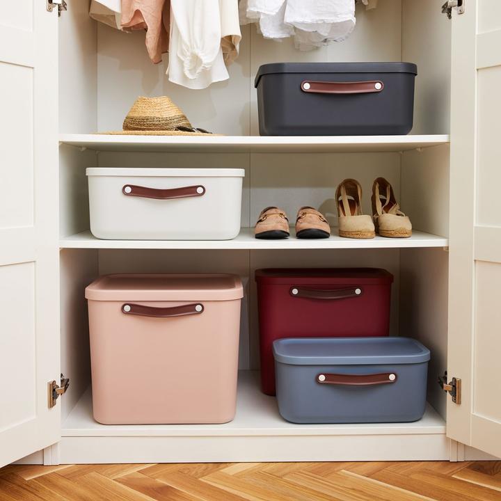 Actual product image Rotho Storage box (20 l)