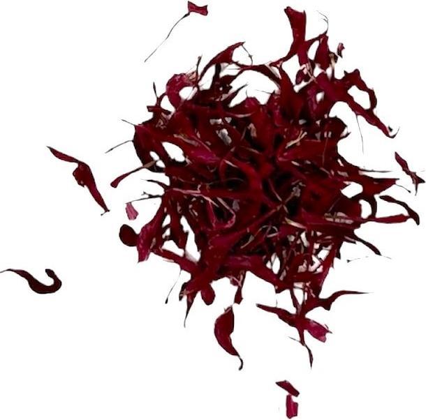Produktbild Hasensprung Kräuter Goldmelisse Bio (10 g)