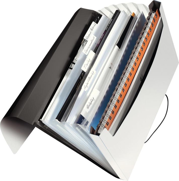 Actual product image Leitz Solid project folder (A4, 1x)