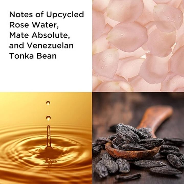 Immagine prodotto Elizabeth Arden Set Tè Bianco 2023 Eau de Parfum 100 / Body Lotion 100 (Set di profumi)