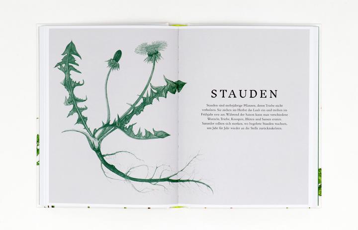 Image du produit Essbare Wildpflanzen (Allemand, Crabe Wiebke, Liz Knight, Rachel Pedder-Smith, 2021)