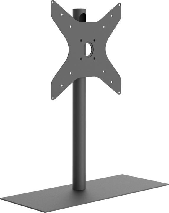 Cavus Cavtsxl (85", 50 kg)