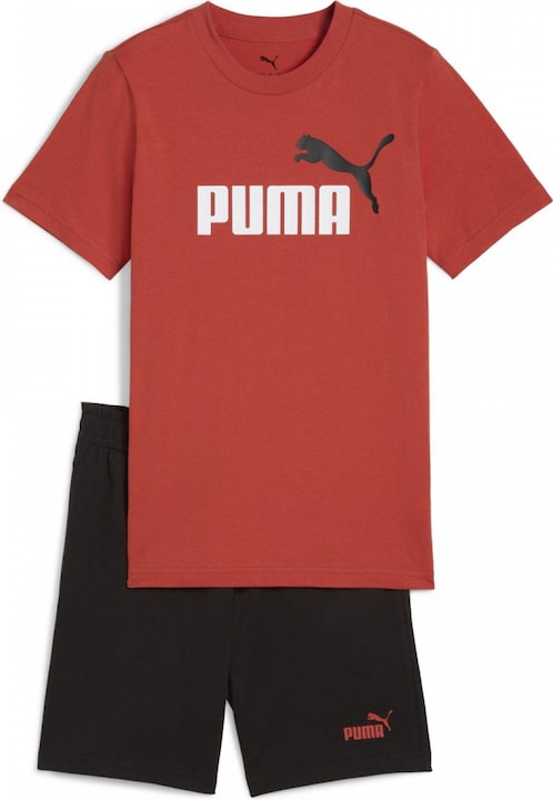 Actual product image Puma ESS 2 COLOR No. 1 Logo Tee and Shorts Set B (164)