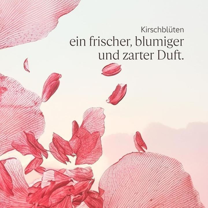 Image du produit L'Occitane Cherry Blossom (Lait pour le corps, 250 ml)