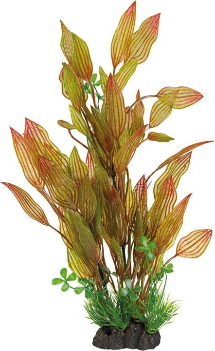 SuperFish Sf Art Plant 40cm Henkelianus (Décoration, Plantes)