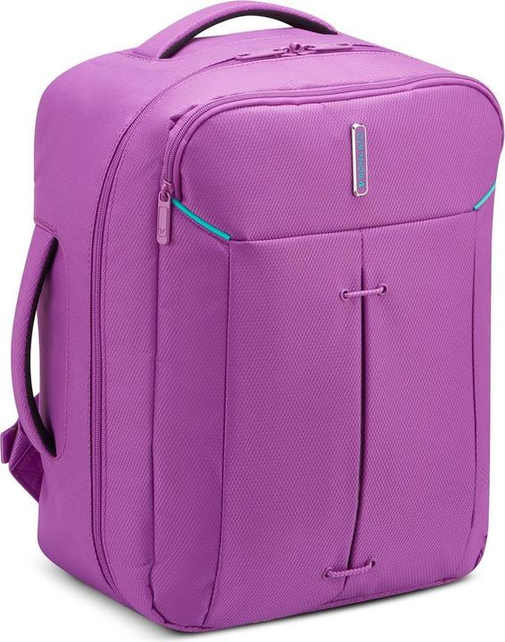 Actual product image Roncato Ironik 2.0 Travel Backpack