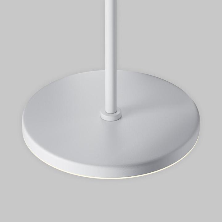Actual product image Maytoni Plato (790 lm)