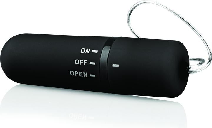 Actual product image The Screaming O Panty Vibe