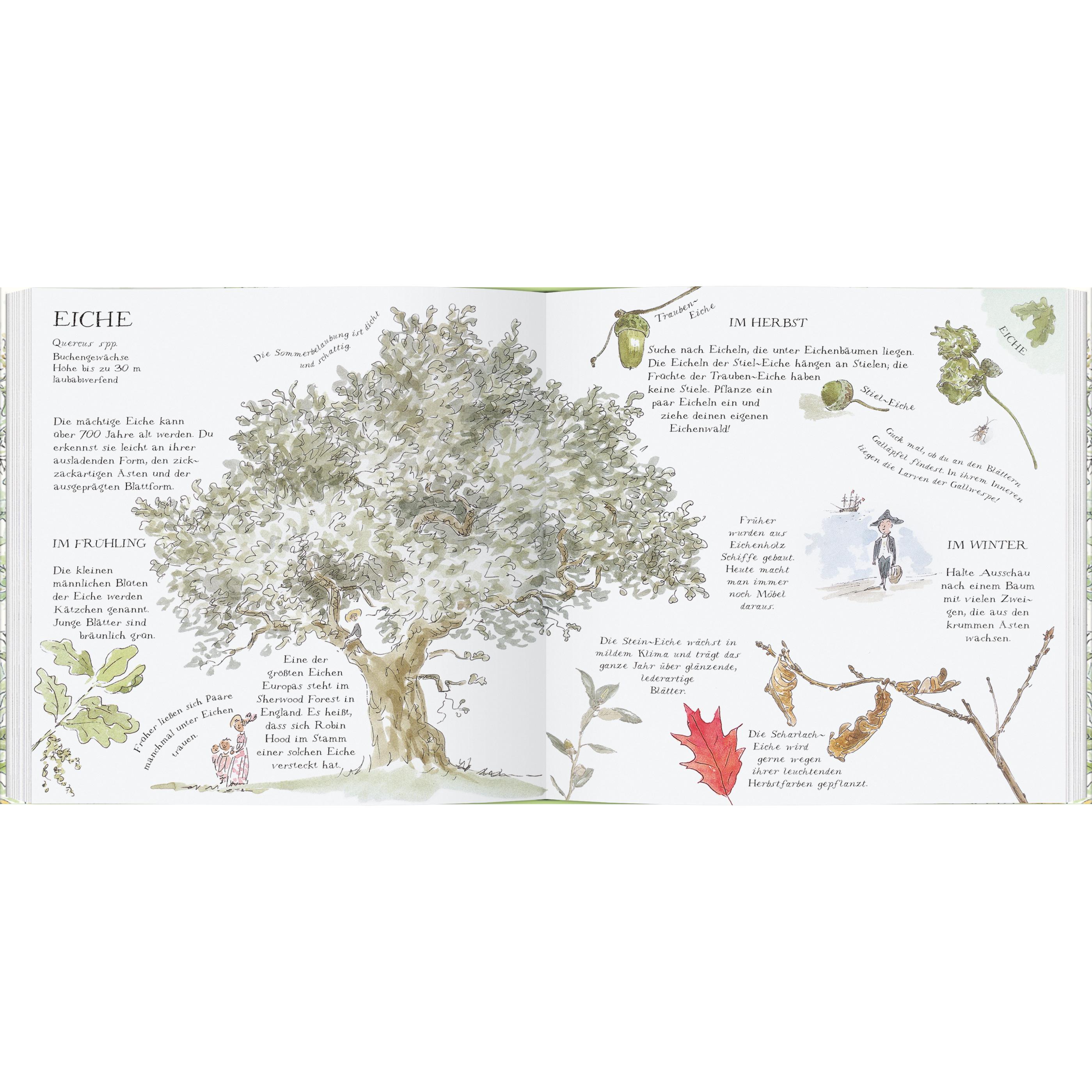 Thumbnail - Linde, Weide, Apfelbaum, Kinderbücher von Charlotte Voake