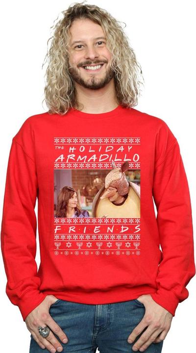 Image du produit Friends - Sweat FAIR ISLE HOLIDAY ARMADILLO - Homme (M)