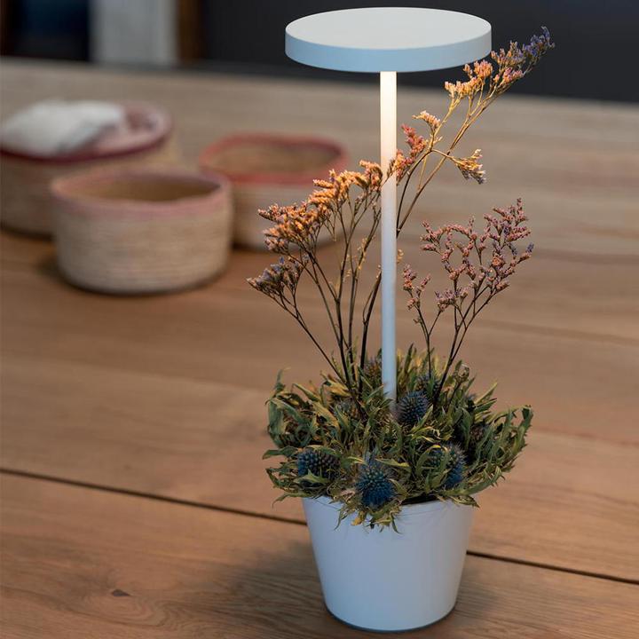 Image du produit Zafferano Poldina Reservo (262 lm, IP54)