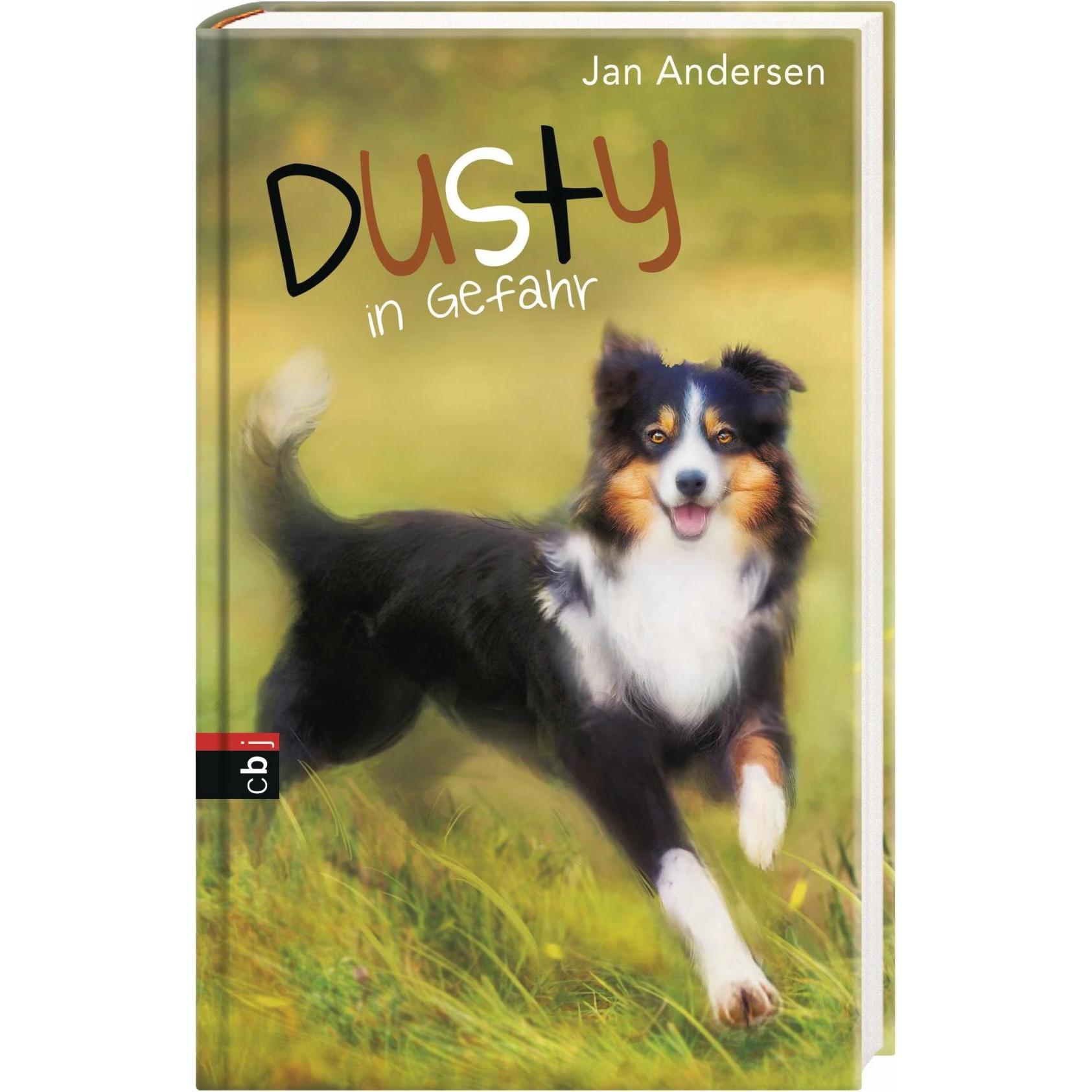 Dusty in Gefahr, Kinderbücher von Jan Andersen