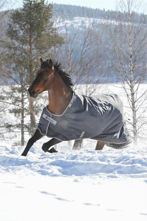 Image du produit Bucas Couverture d'hiver Smartex Extra Classic 300g (145 cm)