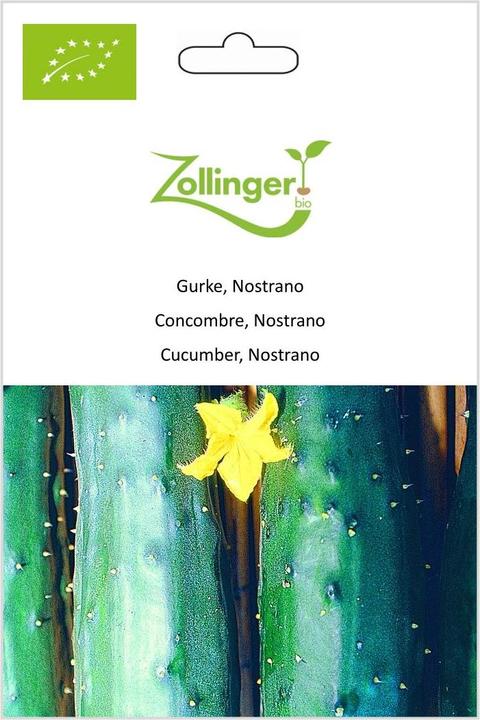 Actual product image Zollinger Bio Cucumber, Nostrano (Vegetable seeds)