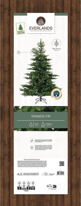 Produktbild Everlands Grandis Tanne 681451 180cm (180 cm)