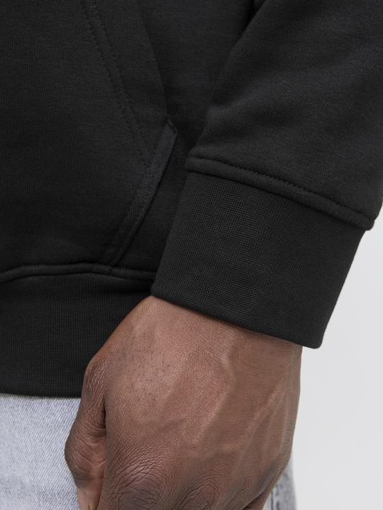 Produktbild Jack & Jones Jjesoho Sweat Hood Noos Pls