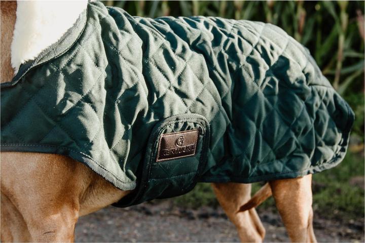 Actual product image Kentucky Dogwear Dog Coat Original (Dog coat)