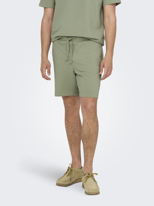Actual product image Only & Sons Onskian Reg Seersucker Shorts (XS)