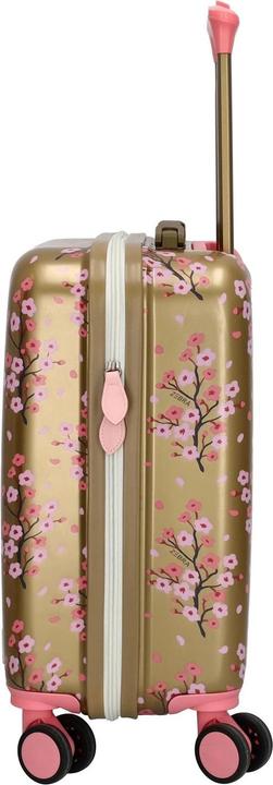 Produktbild Zebra Trends Avonturier