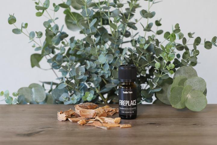 Actual product image Stadler Form Fireplace