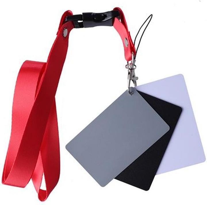 Studioking Digitale Graukarte SKGC-31S (Kunststoff)