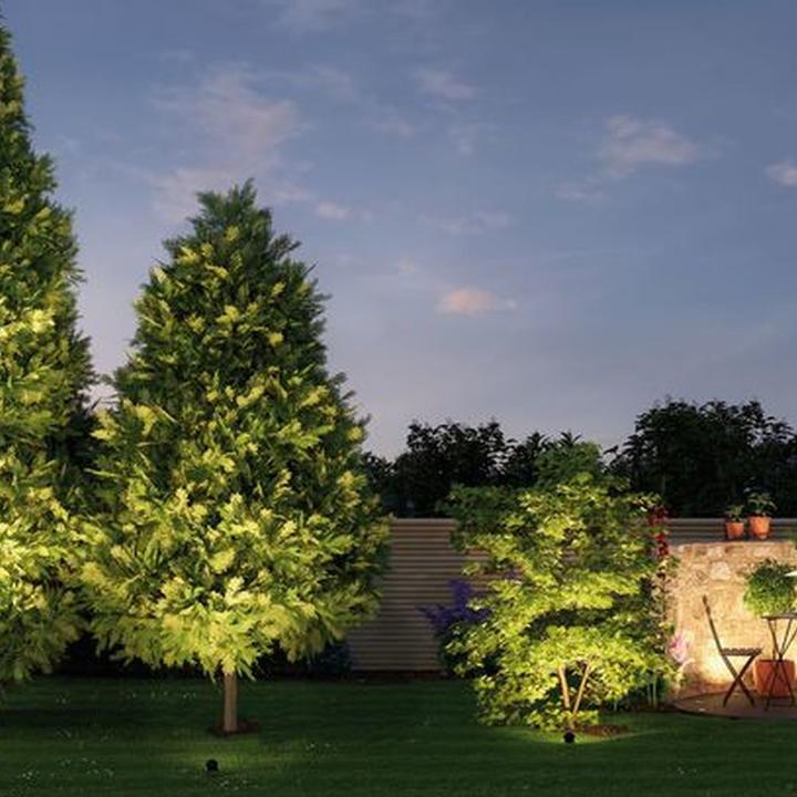 Produktbild Paulmann Outdoor Plug & Shine Sting Starterset (520 lm, IP67)