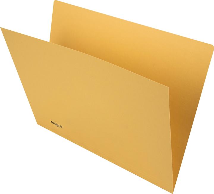 Produktbild Biella Vertikalmappen (A4, 100 x)