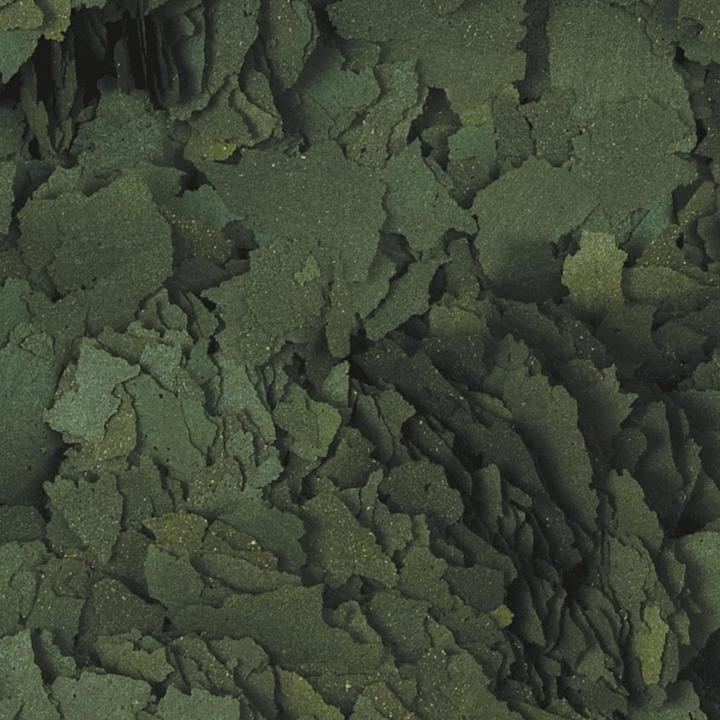 Produktbild Tropical Super Spirulina Forte (36%) (Aquarienfische, Süsswasserfisch, Zierfische, 500 cl)